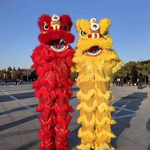 新年新款成人单人舞狮儿童醒狮服