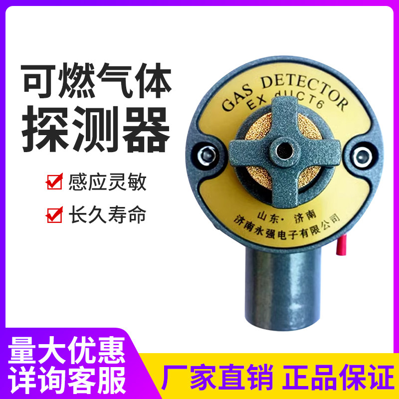 可燃气体探测器天然气报警器永强
