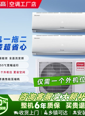 Chigo/志高 CGMV-V55W/N4-B01-2A