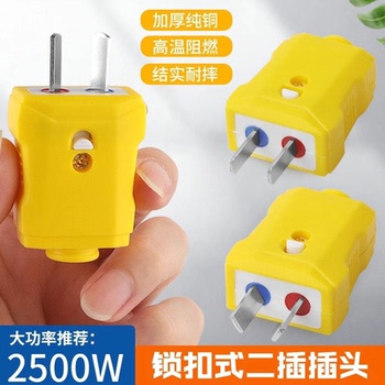 【全新两用】新款两用插头6000W加厚纯铜防摔大功率电源插头二脚