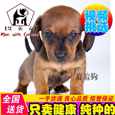 最新优惠券大全 全网省钱买 为美好生活而省