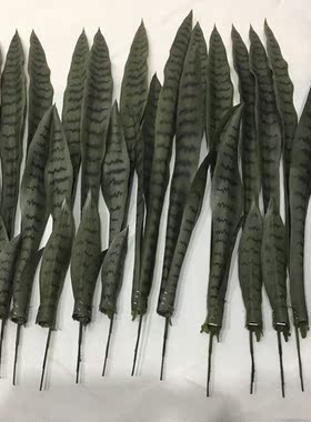 仿真虎皮兰单盆栽装饰室内外绿植