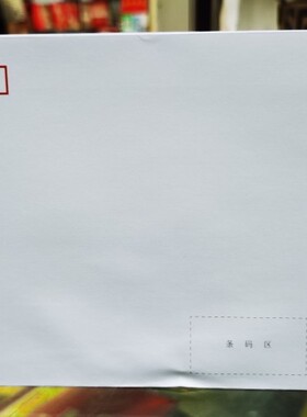 PF278 2020年 喜鹊登枝 普通邮资信封 PF封 总公司 一枚 现货