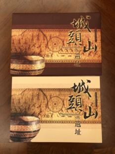 2005城头山遗址总公司大版邮折,含城头山邮票大版首日封,保真