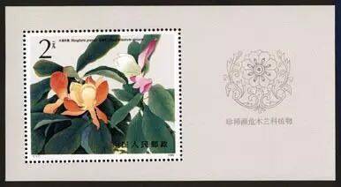 花卉邮票1986年 T111M 珍稀濒危植物--木兰科小型张邮票 原胶全品