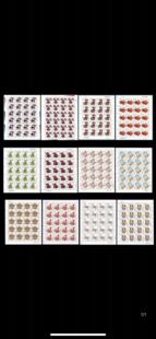 第三轮生肖邮票大版大全套：猴鸡狗猪鼠牛虎兔龙蛇马羊12全 保真