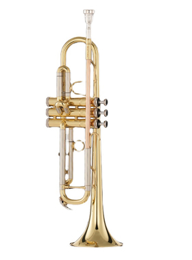 MES 迈斯牌 MTR-1309 小号 铜管乐器 降B调 漆金 镀银 初学 入门