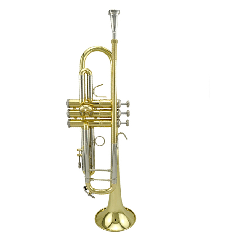 星海牌新品高级小号310型