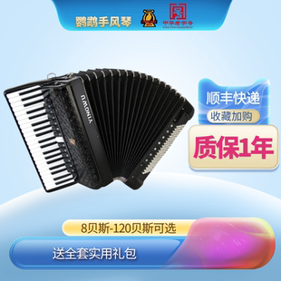 9968 120贝斯三四排簧手风琴 鹦鹉YINGWU考级演奏初学手风琴60