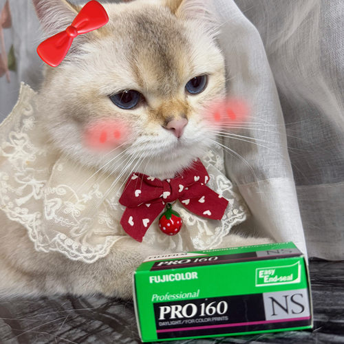 富士Pro160NS胶卷 120胶片菲林 彩色负片 绝版限定过期复古收藏GZ