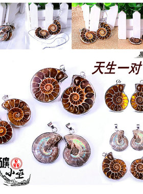 保真一对小号螺化石菊石古生物螺情侣吊坠饰品矿物diy配件送链子