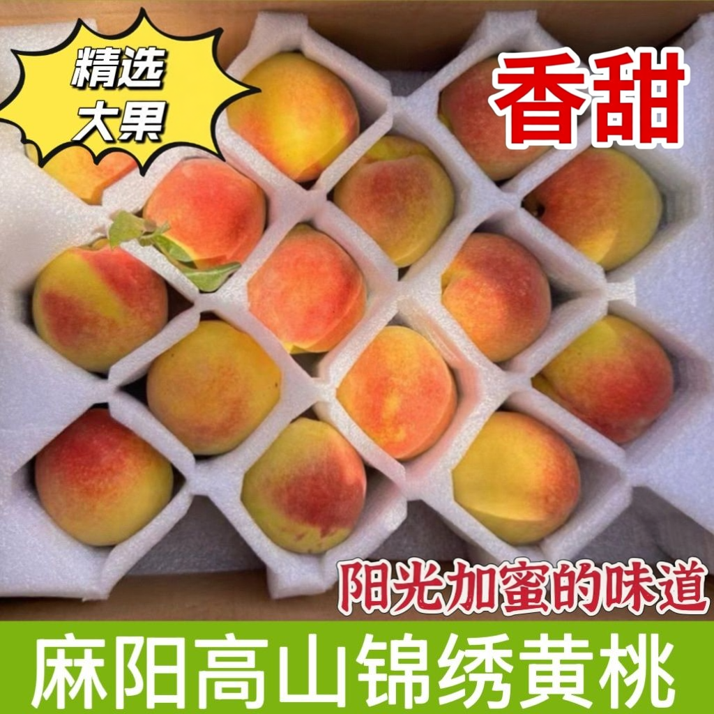 湖南怀化麻阳高山露天锦绣黄桃新鲜现摘现发当季水果超甜脆桃红心