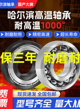 哈瓦洛耐高温轴承600度1000度6207 6208 6209 6210 6211 6212 213