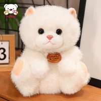 Сидеть на белом