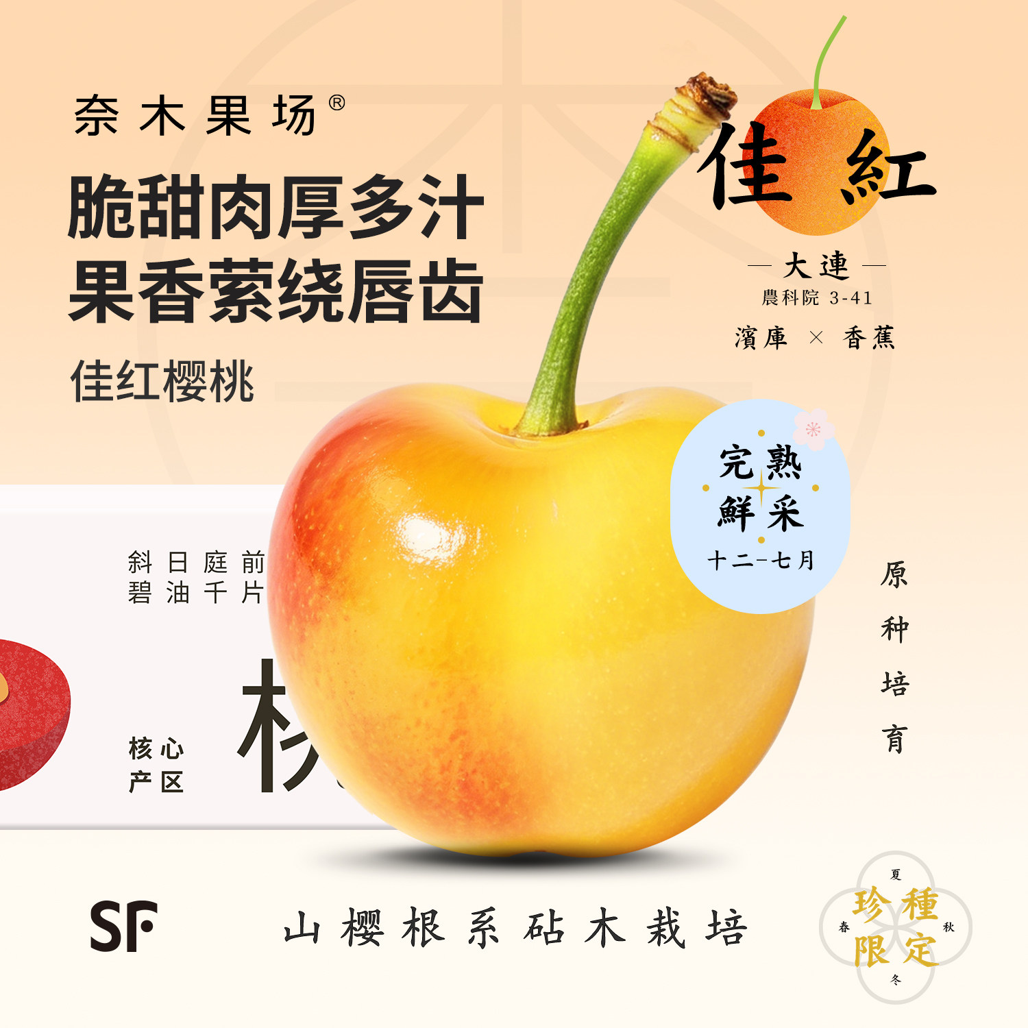 奈木果场大连佳红樱桃5J特级调温棚高甜脆嫩多汁完熟鲜采sf礼盒装