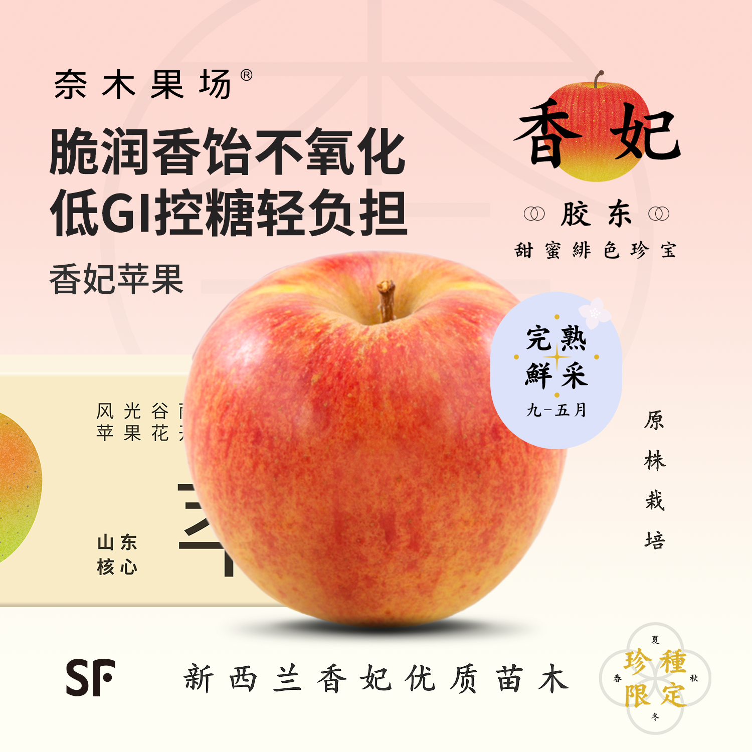 稀有烟台爱香妃苹果脆甜甘饴礼盒