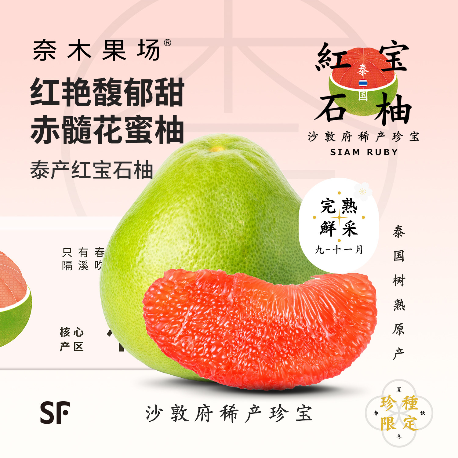 奈木果场特级红宝石柚泰国沙墩树熟原产鲜采脆嫩红心蜜柚子礼盒装