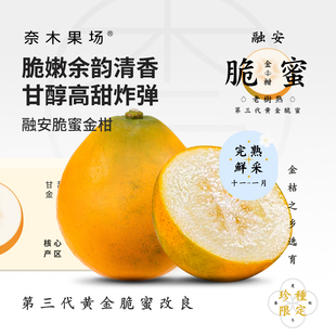 奈木果场广西融安正宗黄金脆蜜金柑三代6A清香甘醇高甜爆汁礼盒装