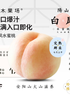 正宗阳山白凤水蜜桃香甜爆汁礼盒