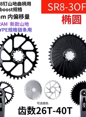 STONE 8钉直装 椭圆 正负齿单盘 T-TYPE链条用 xx sl x0 gx 12速