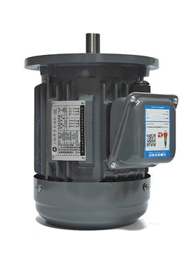 ADLEEPOWER爱德利750W铜质电机AEVF 1HP 4P三相异步电动机ACO立式