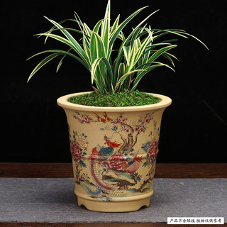 紫砂兰花盆春蕙建兰精品贴花不掉色虎皮兰君子兰桌面绿植特价包邮