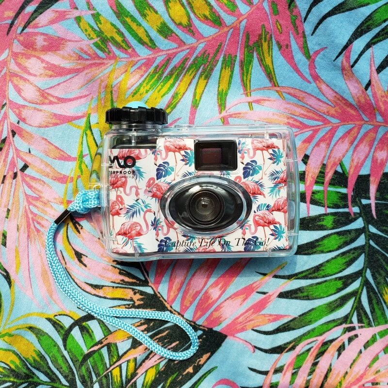 미국 다이빙 CYLO 수중 카메라 일회용 필름 방수 스키 수중 수중 매우 차가운 물 땅 비오는 날