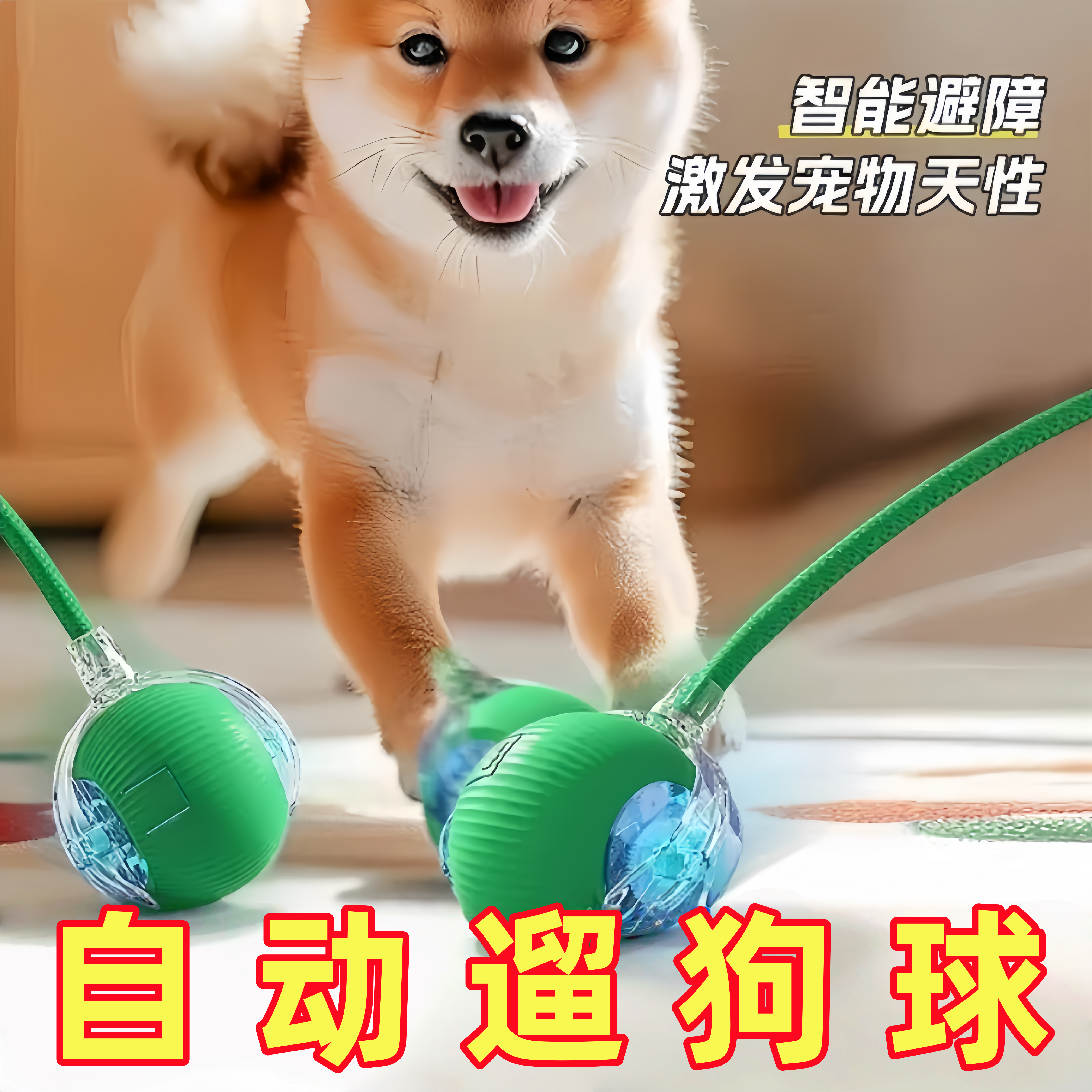 狗狗玩具球自动遛狗电动逗狗耐咬小狗比熊玩的宠物狗自嗨解闷神器