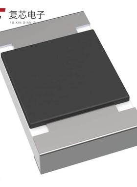 原厂正品FCC20252ADTP全新FUSE CHIP 2.5A 50VDC 0805