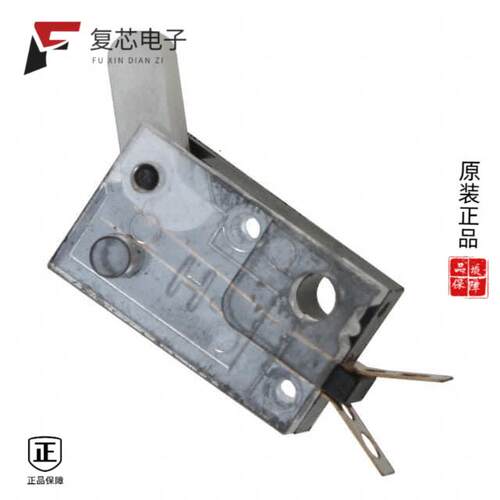 全新正品DS-040-02|DS-080-C PA|E101J1A3BE2