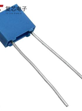 B32529C1104J189全新CAP FILM 0.1UF 5% 100VDC RA