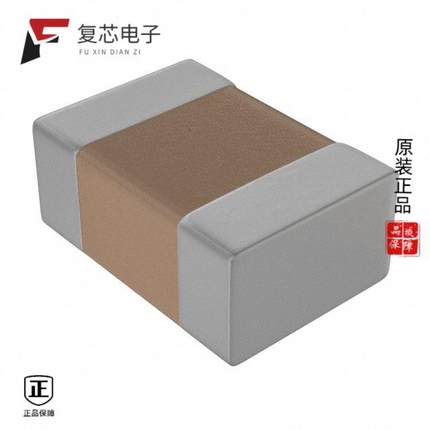 原厂正品LDBCC3100JC5N0全新CAP FILM 0.1UF 5% 50VDC
