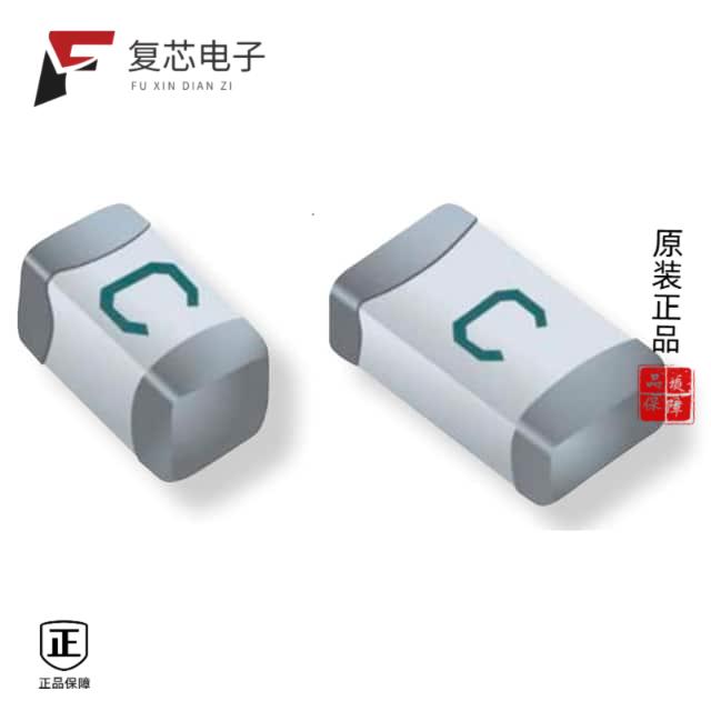 原厂正品SF-1206SA300M-2全新1206 SLOW-BLOW MULTILAY