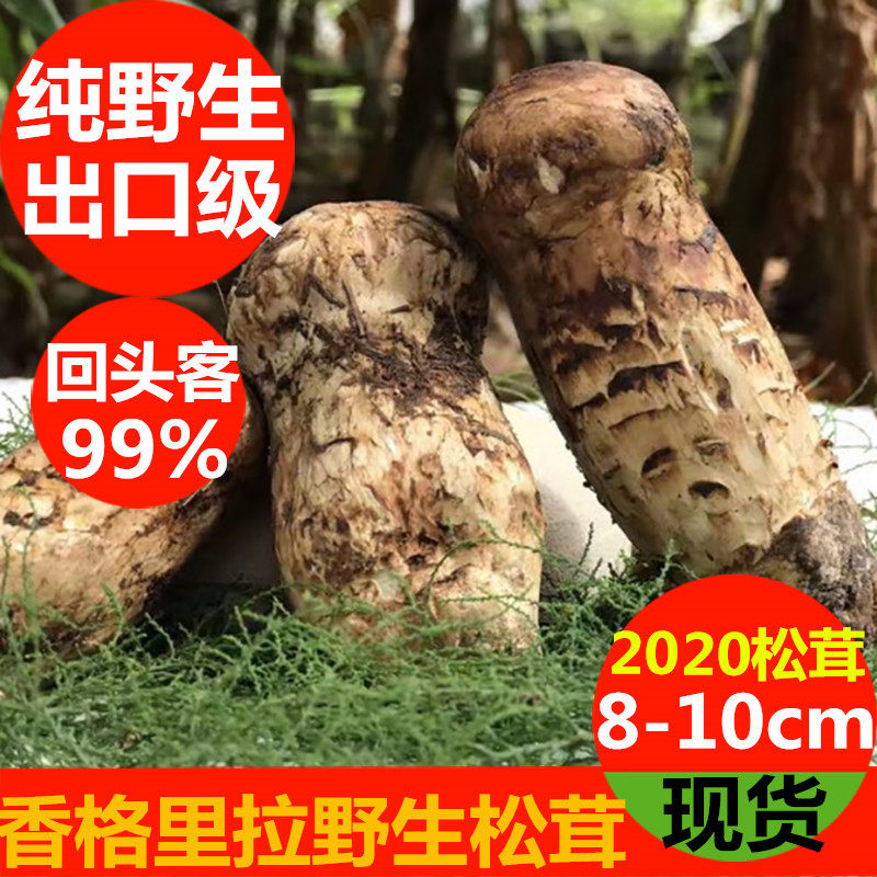 【出口LM级】新鲜松茸野生松茸云南特产香格里拉松茸菌出口级500g在类目 粮油米面/南北干货/调味品, 南北干货/肉类干货, 干货/土特产, 松茸中 - 来自Buy2taobao.com提供专业的淘宝代购服务