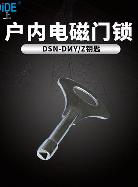 DSN-BMZ/Y DSN-1Y/1Z DSN-AMY AMZ户内高压电磁锁钥匙DSN三角钥匙