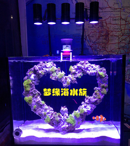 阳光几何LED海水灯珊瑚全光谱
