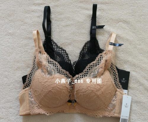 伊丝艾拉8487 B薄杯性感蕾丝上托聚拢贝壳杯舒适文胸女内衣正品