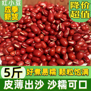 红豆新豆子5斤农家新鲜红小豆五谷杂粮易煮出沙赤小豆薏仁汤新货