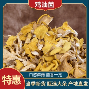 鸡油菌干货云南特产新鲜干黄丝菌菇蘑菇黄金菇榆黄菇煲汤好料500g