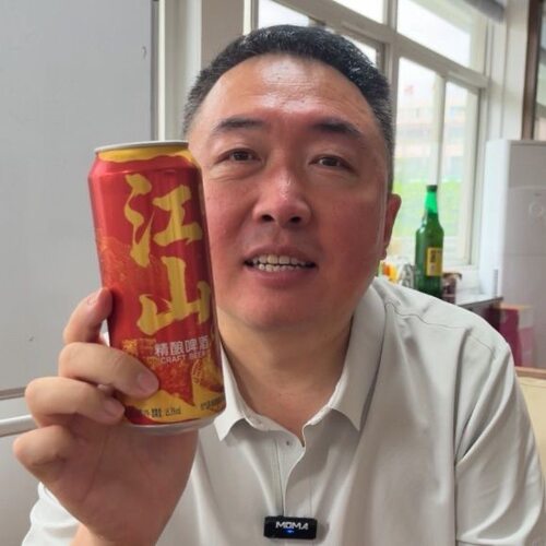 新品上市德伦堡江山精酿啤酒 500ml*9 听全麦艾尔工艺易拉罐整箱