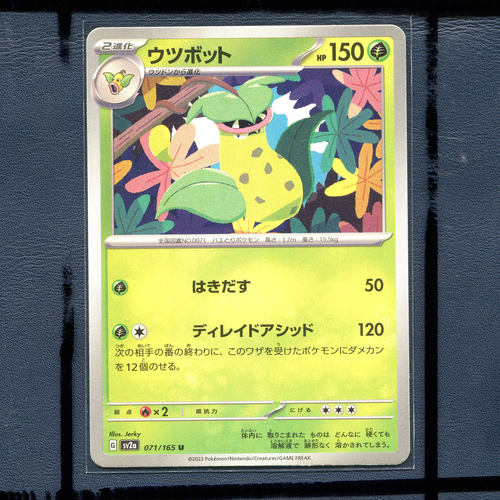 宝可梦PTCG 集换式正版卡牌朱紫151 大食花 SV2A-071 日版