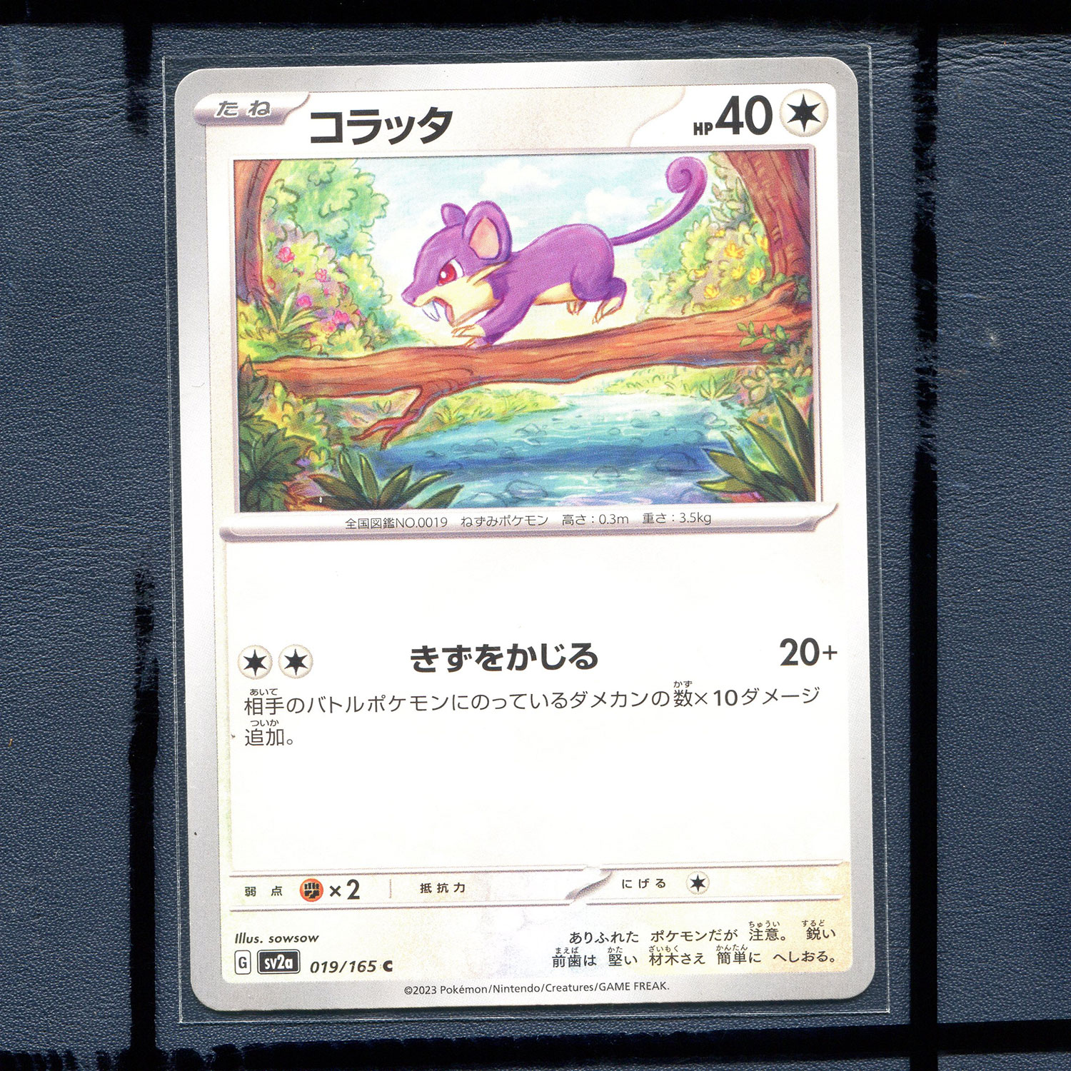 宝可梦PTCG 集换式正版卡牌朱紫151 小拉达 SV2A-019 日版