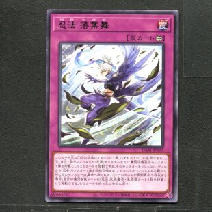 游戏王 卡牌 68038375 哥布林拦路贼 BE02-JP064 银字R B01