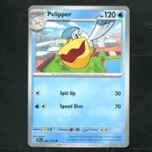 卡牌 英文版 大嘴鸥 宝可梦 同行之旅 正版 039 JTG TCG 美版