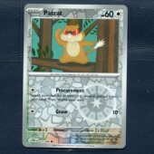 纯白闪焰 正版 宝可梦PTCG 072 卡牌 WHT 美版 探探鼠 反闪