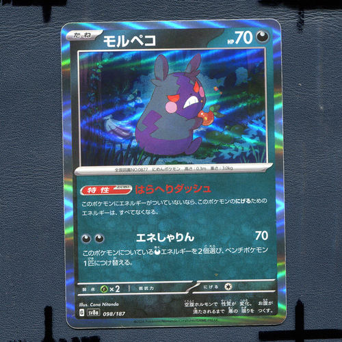 宝可梦PTCG正版卡牌 太晶盛典 莫鲁贝可 SV8A-098 日版