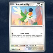 卡牌 TCG 宝可梦 DRI 正版 怒鹦哥 美版 英文国际版 160