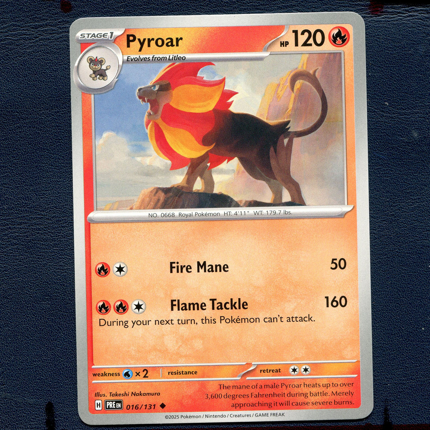 宝可梦PTCG正版卡牌 英文版国际版 棱镜进化 火炎狮 PRE-016 美版
