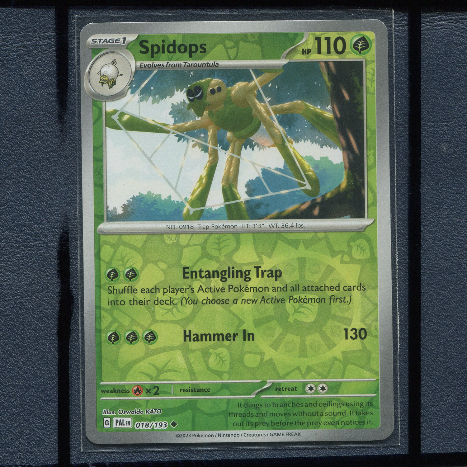 宝可梦美版英文版国际版 帕底亚进化 操陷蛛 PAL-018