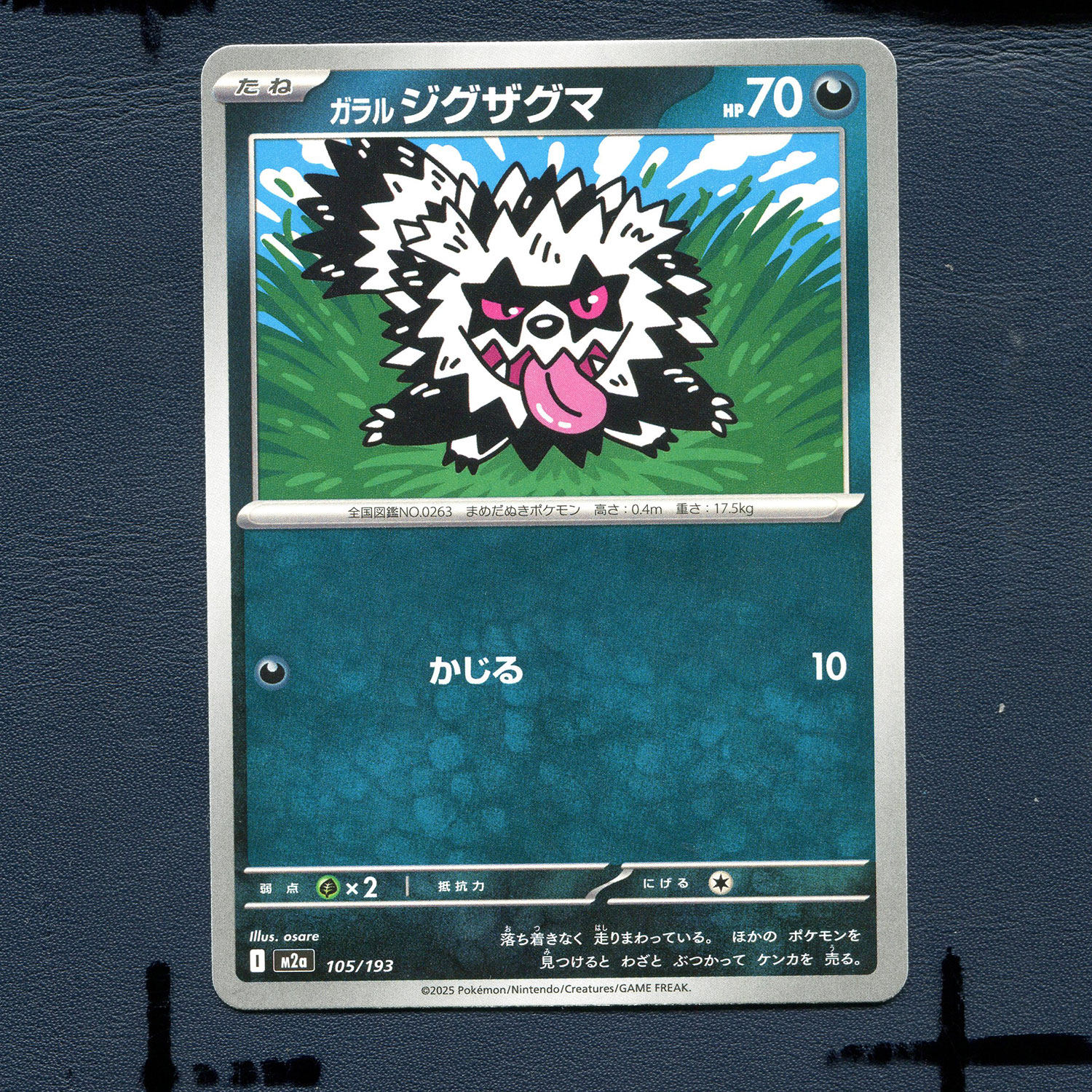 宝可梦PTCG正版卡牌 超级梦想EX 迦勒尔蛇纹熊 M2A-105 日版